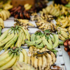 Amanhã começa o Festival Gastronômico de Saint-Martin de 2022