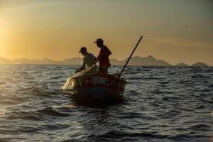 SescTV: Estreia do filme “Interactions – When Cinema Looks to Nature” é adiada para 22 de abril, Dia Mundial do Planeta Terra