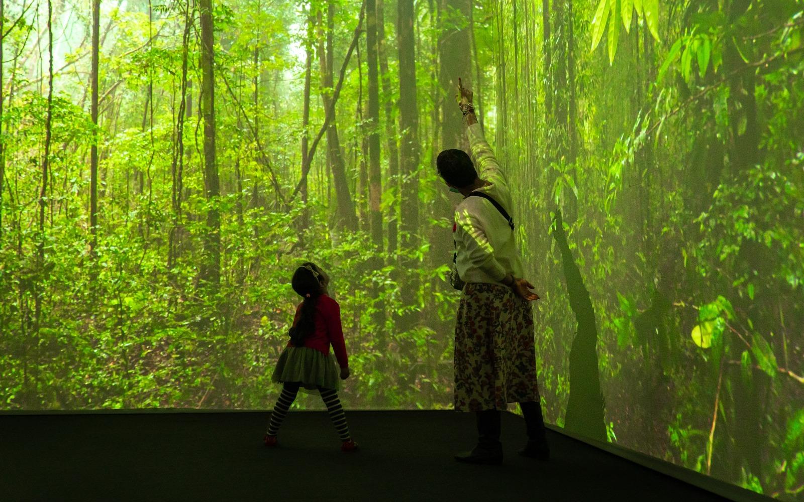 Explore a Natureza no Museu do Amanhã: Sentir Mundo – Uma Jornada Imersiva
