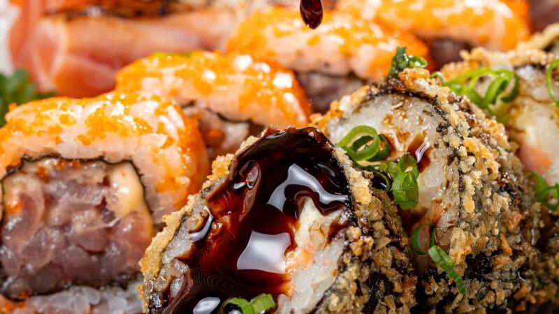 Gastronomia para Pets: Festival no Sul do Brasil oferece refeições especiais para animais de estimação