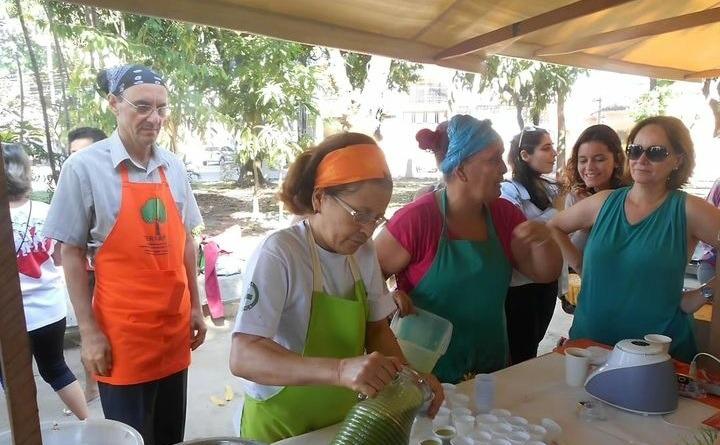 Feira Orgânica de Olaria completa 10 anos