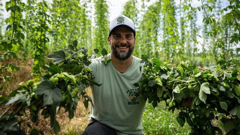 São Paulo quer ser a capital brasileira do lúpulo e impulsionar a produção de cerveja