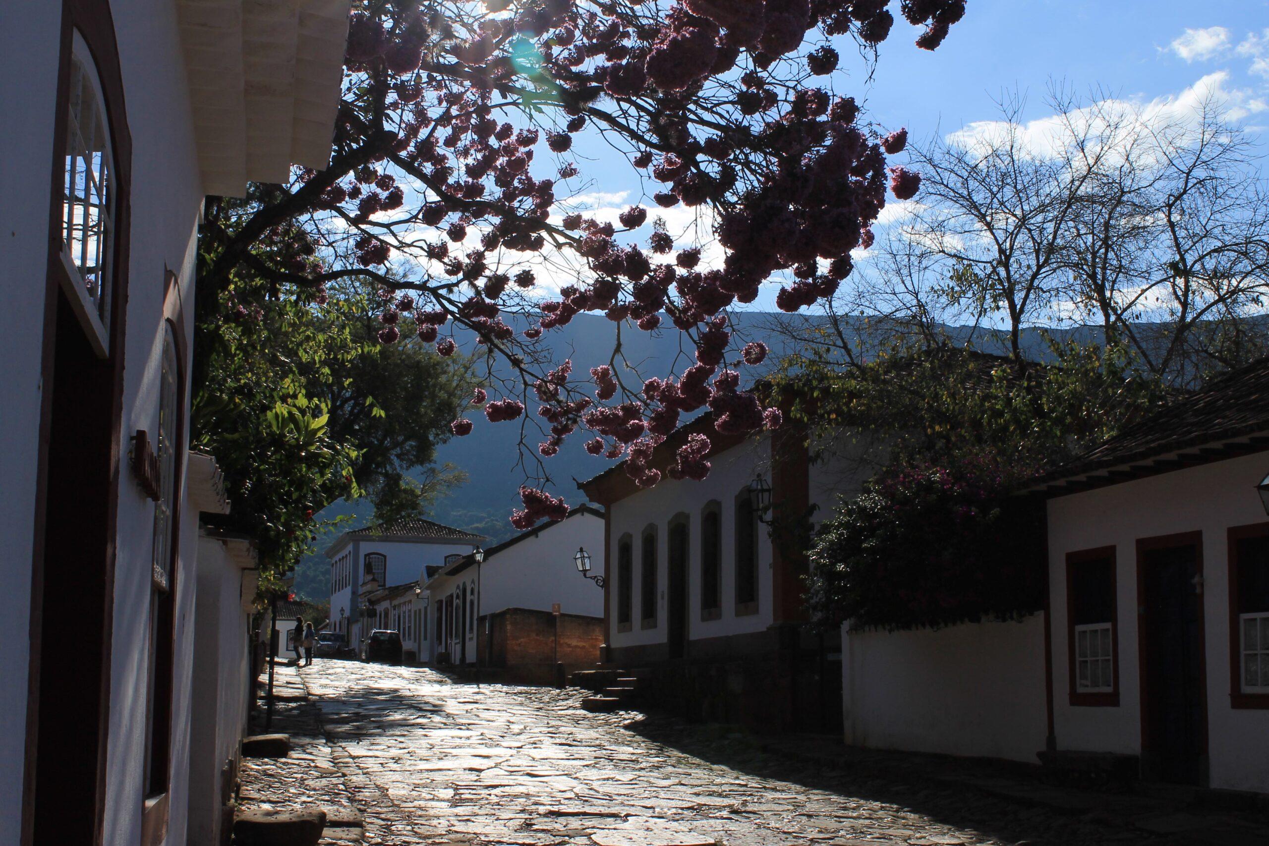 Festival de Tiradentes reúne grandes nomes da literatura mundial