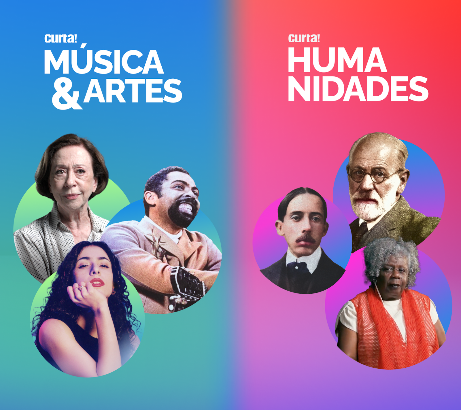 Curta! lança dois canais FAST no TCL Channel