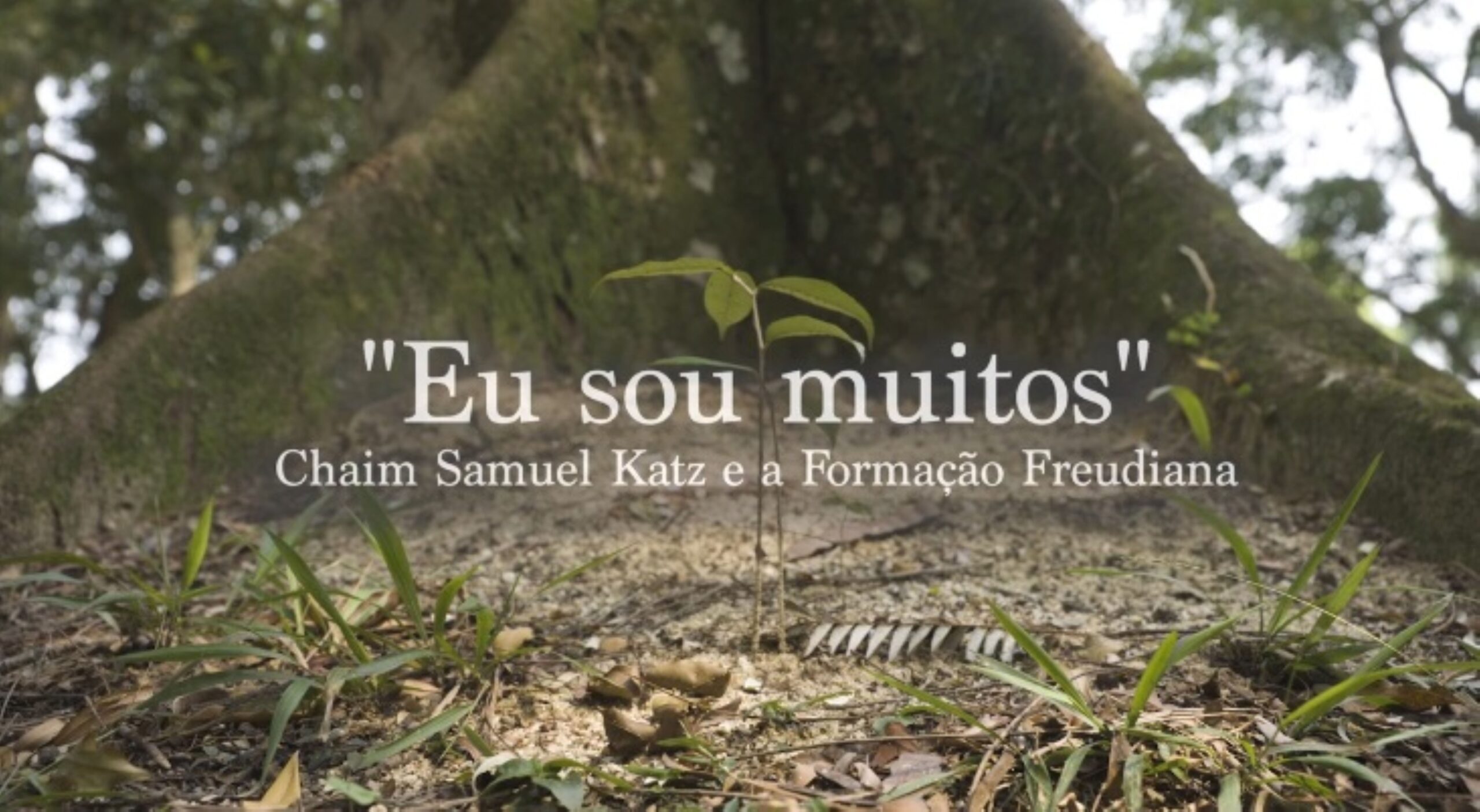 Documentário celebra 30 anos da Formação Freudiana