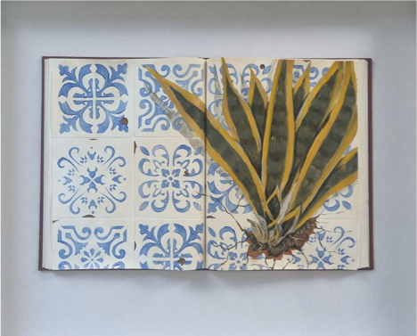 Exposição de Paulo du’Sanctus questiona apagamento histórico