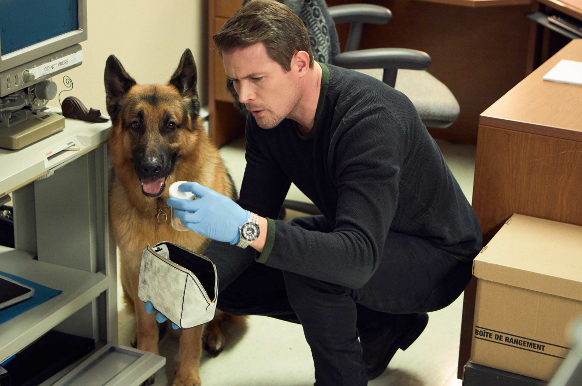 Segunda temporada de Hudson & Rex estreia no AXN