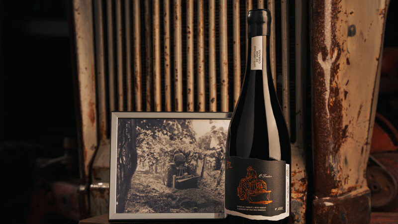 Dom Cândido celebra imigração italiana com vinhos “3 histórias”