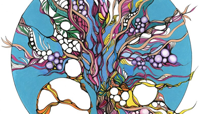 Exposição Abissais de Lucia Bianconi traz mandalas que revelam o ciclo da vida