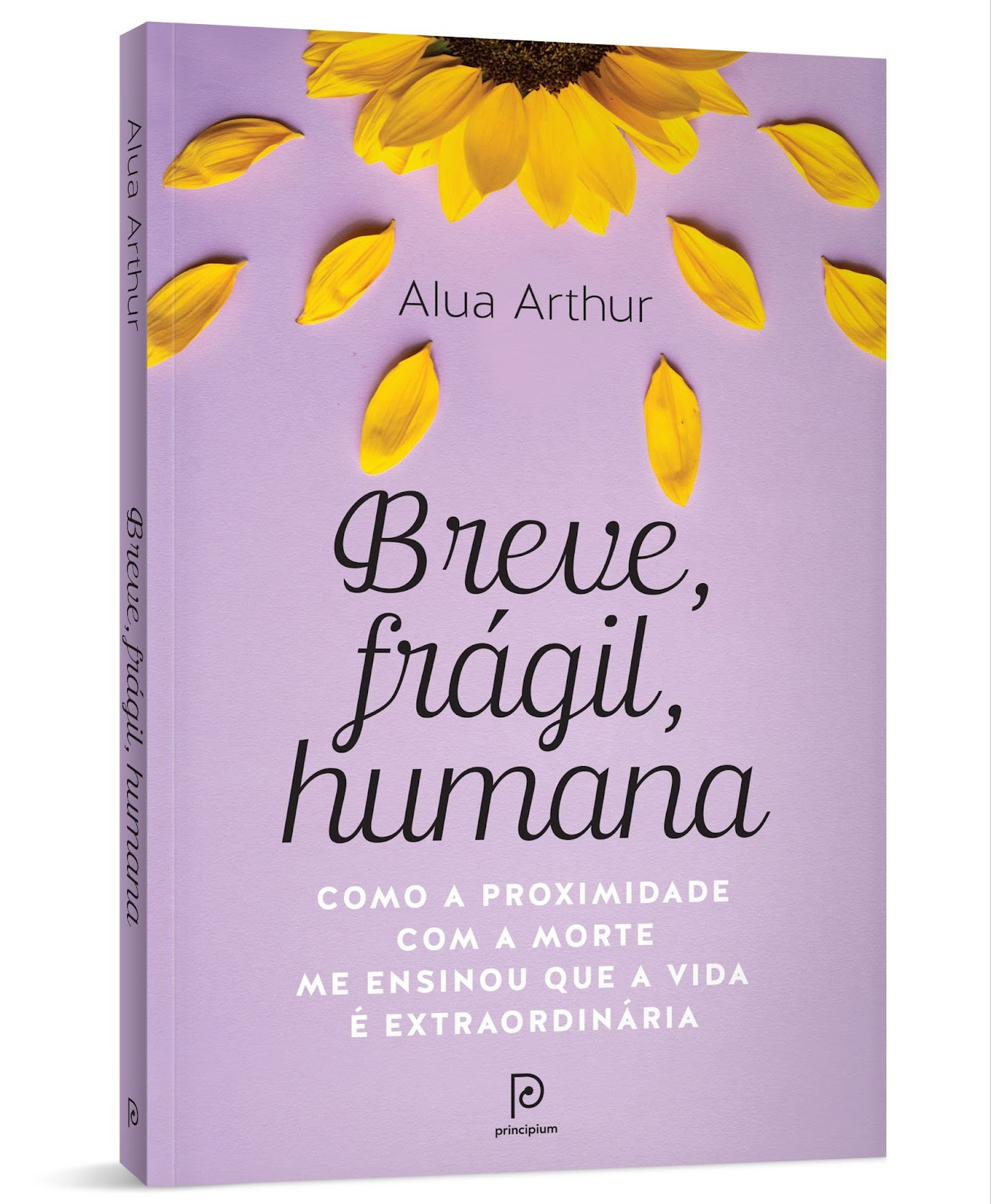 “Breve, Frágil, Humana” propõe novo olhar sobre a morte e o viver