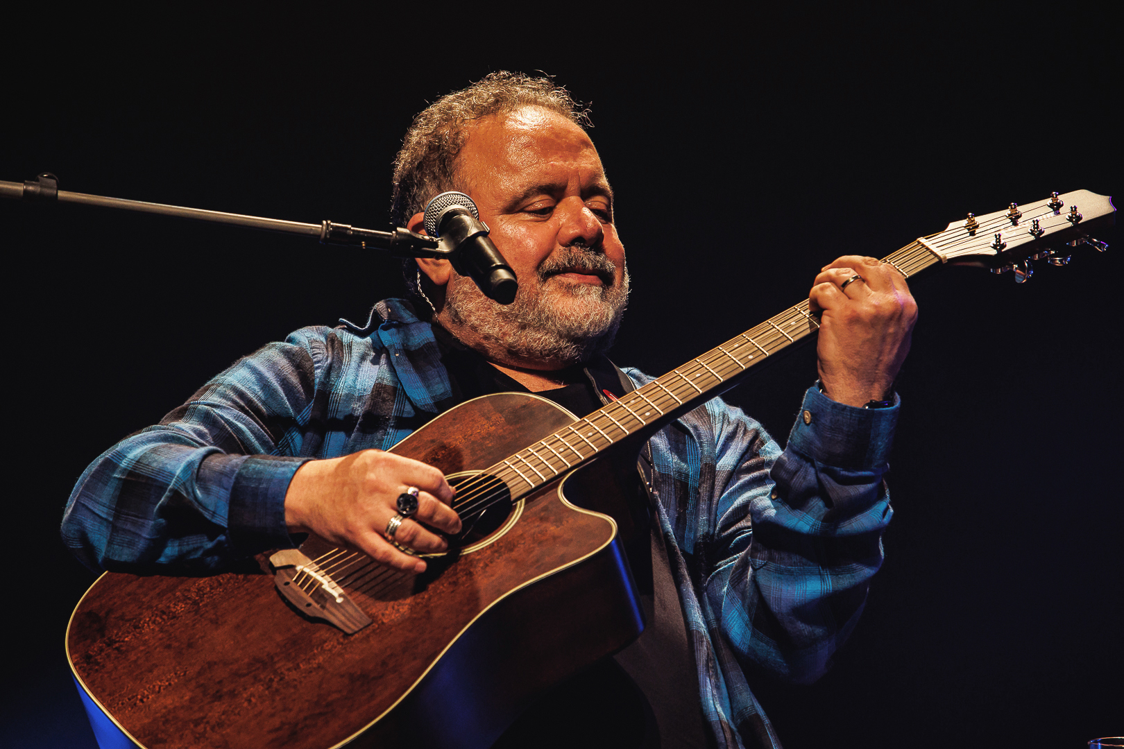 25º Festival #ZiriguidumEmCasa: Homenagem à música brasileira de 1985