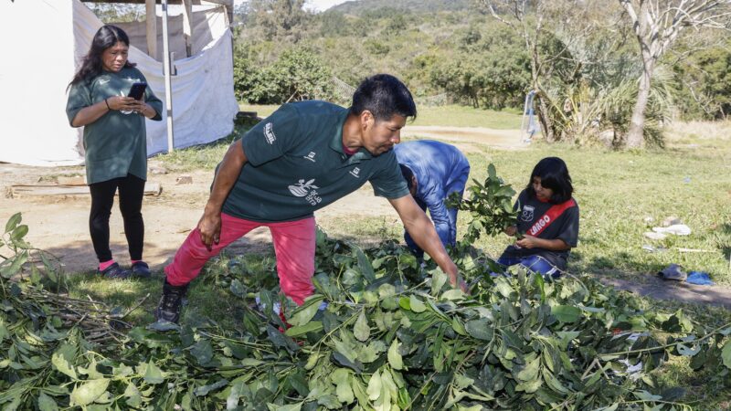 Aldeia Mbyá Guarani realiza primeiro Carijo em Porto Alegre