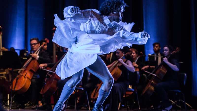 Orquestra Ouro Preto apresenta Fernão Capelo Gaivota