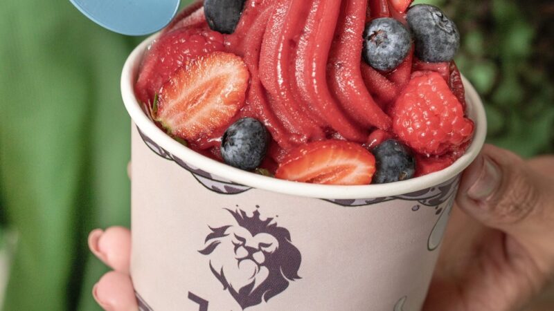 JAH Açaí lança sorvete de frutas vermelhas na primavera