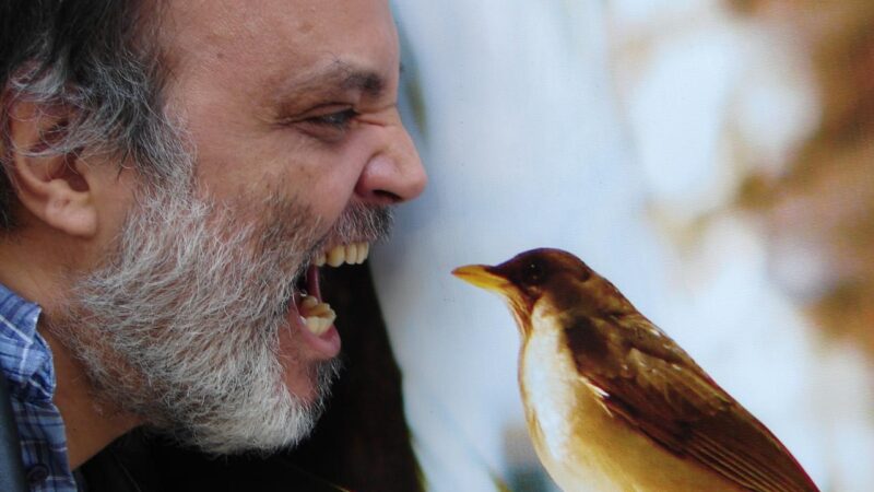 Andersen Viana conquista prêmio no Chile com obra “Mensagens”