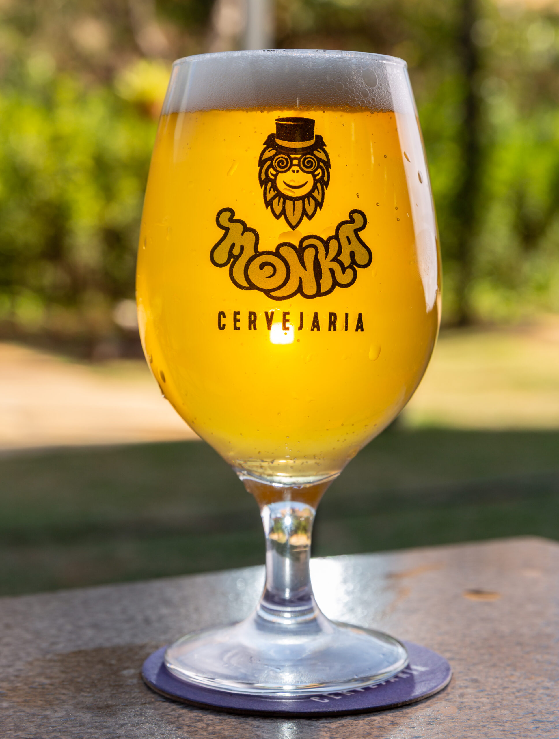 Três dias de música e cervejas premiadas na Monka