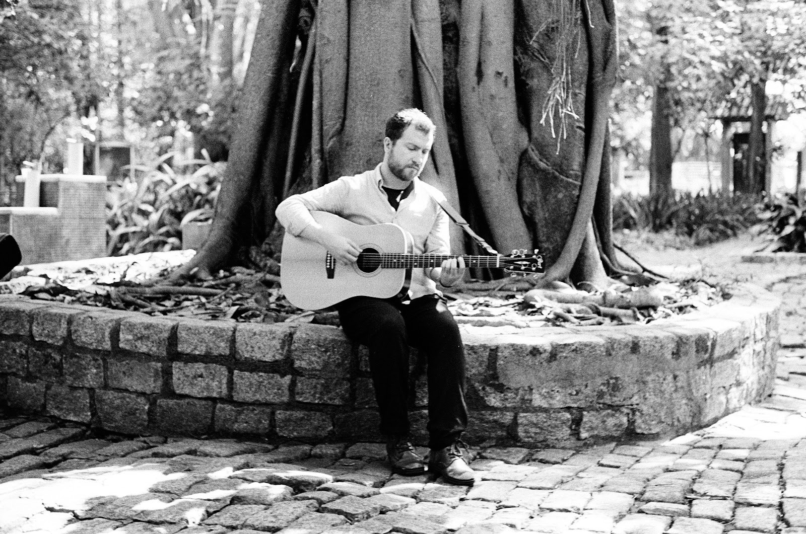 Pedro Vulpe lança “MAYFLY”, EP folk sobre coragem e voo artístico