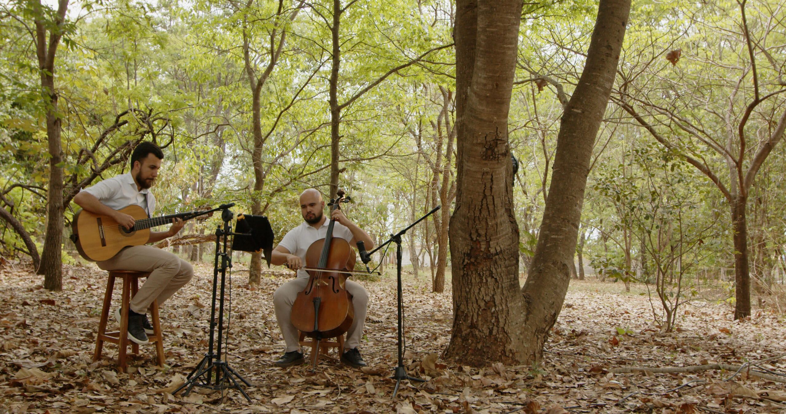 Claque Cultural agita Anápolis com arte gratuita