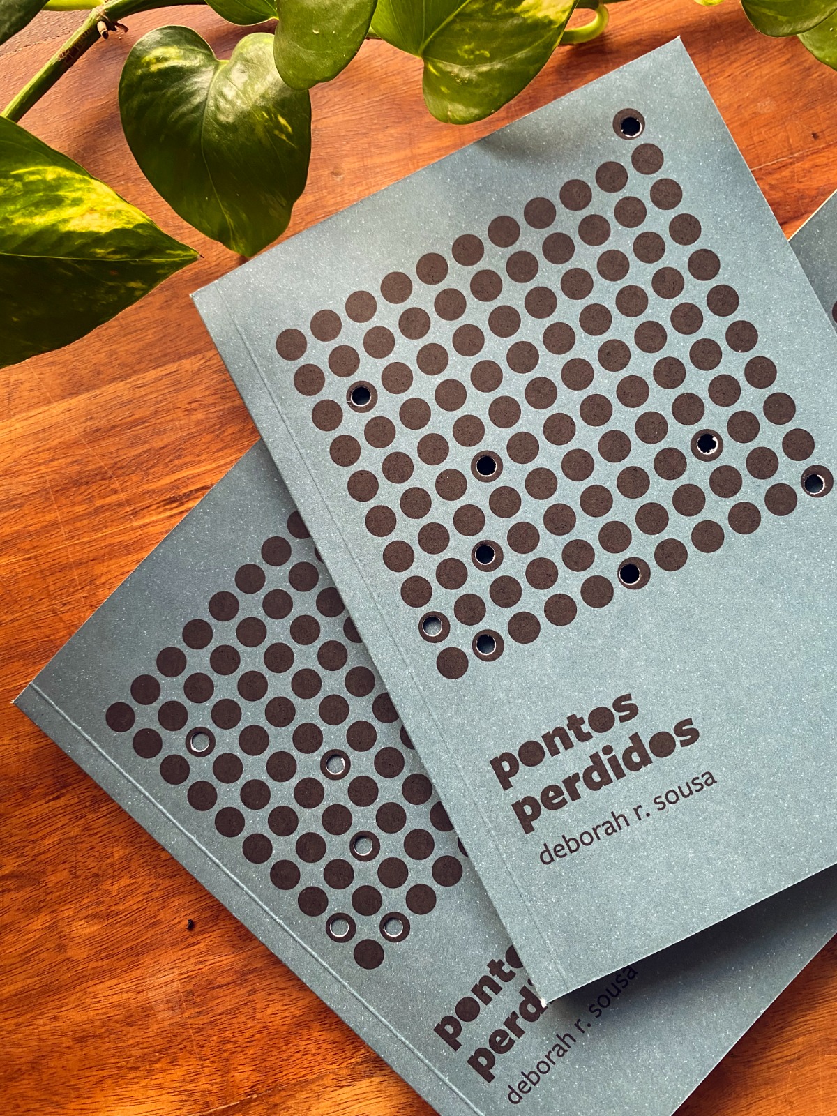 Romance “Pontos Perdidos” ganha versão e-book em dezembro