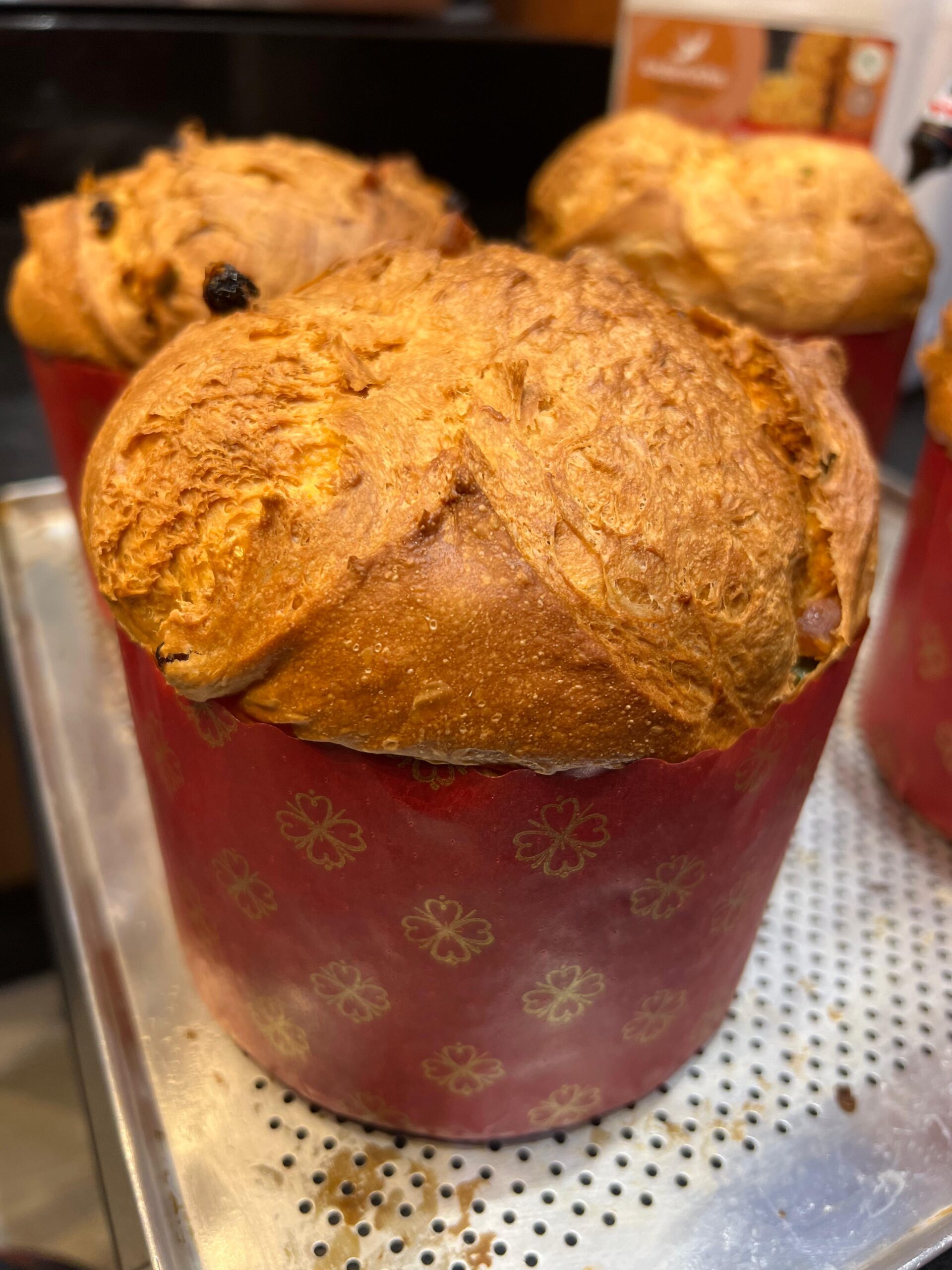 Panetone artesanal: receita italiana ganha versão com fermento biológico seco