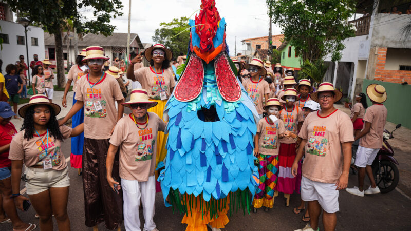 Arraial do Pavulagem reúne 3 mil no Cordão do Galo no Marajó