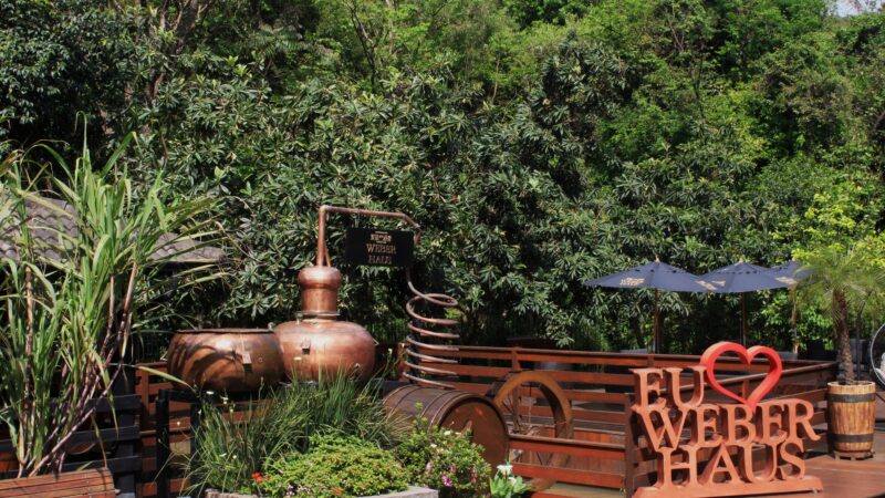 Destilarias impulsionam o turismo de experiência no Brasil