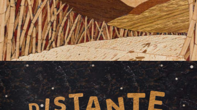 Paulo Rea transforma marchetaria em ilustrações para livros infantojuvenis