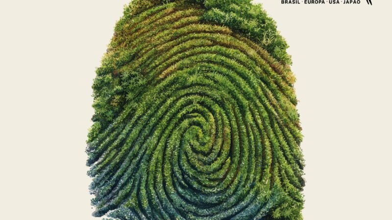 O que é “Passaporte para a Sustentabilidade”