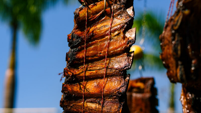 Festival Caminhos de Fogo destaca cadeia produtiva e conexão entre agro e gastronomia