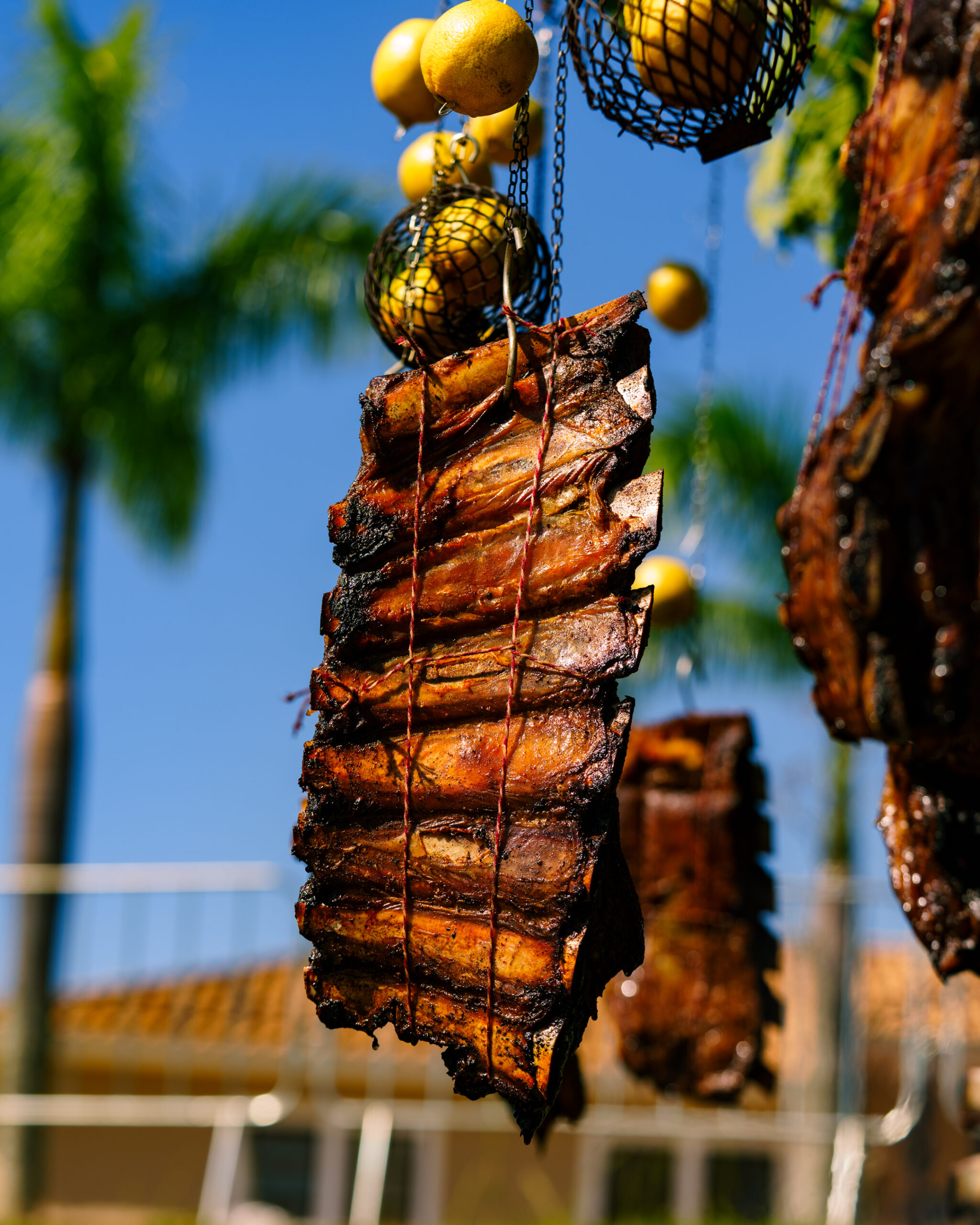 Festival Caminhos de Fogo destaca cadeia produtiva e conexão entre agro e gastronomia