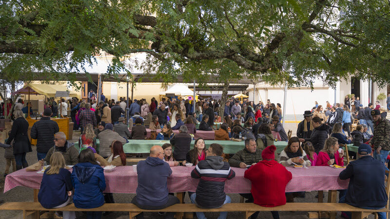 Polentaço celebra raízes italianas em Monte Belo do Sul com tombo de 800 kg