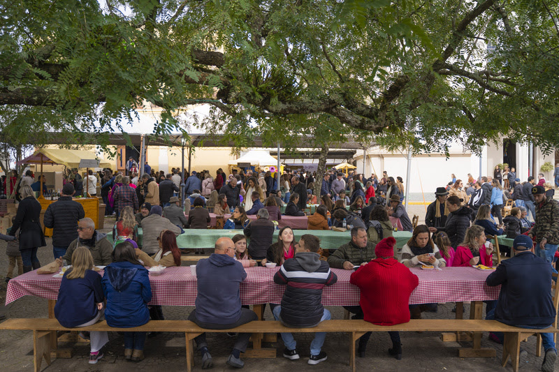 Polentaço celebra raízes italianas em Monte Belo do Sul com tombo de 800 kg