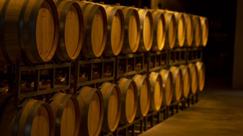 Vinhos de inverno conquistam 83 medalhas no Decanter 2026