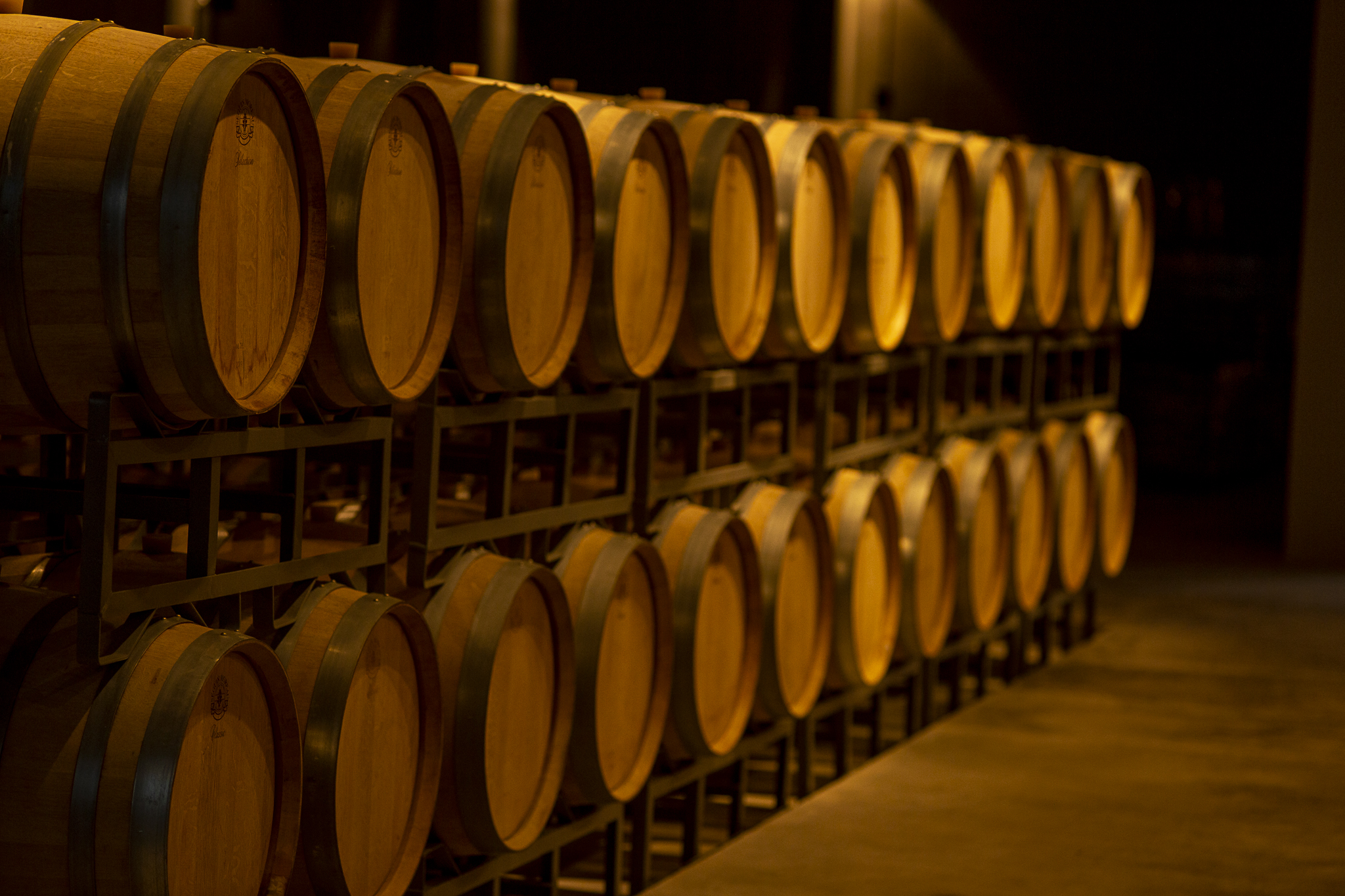 Vinhos de inverno conquistam 83 medalhas no Decanter 2026