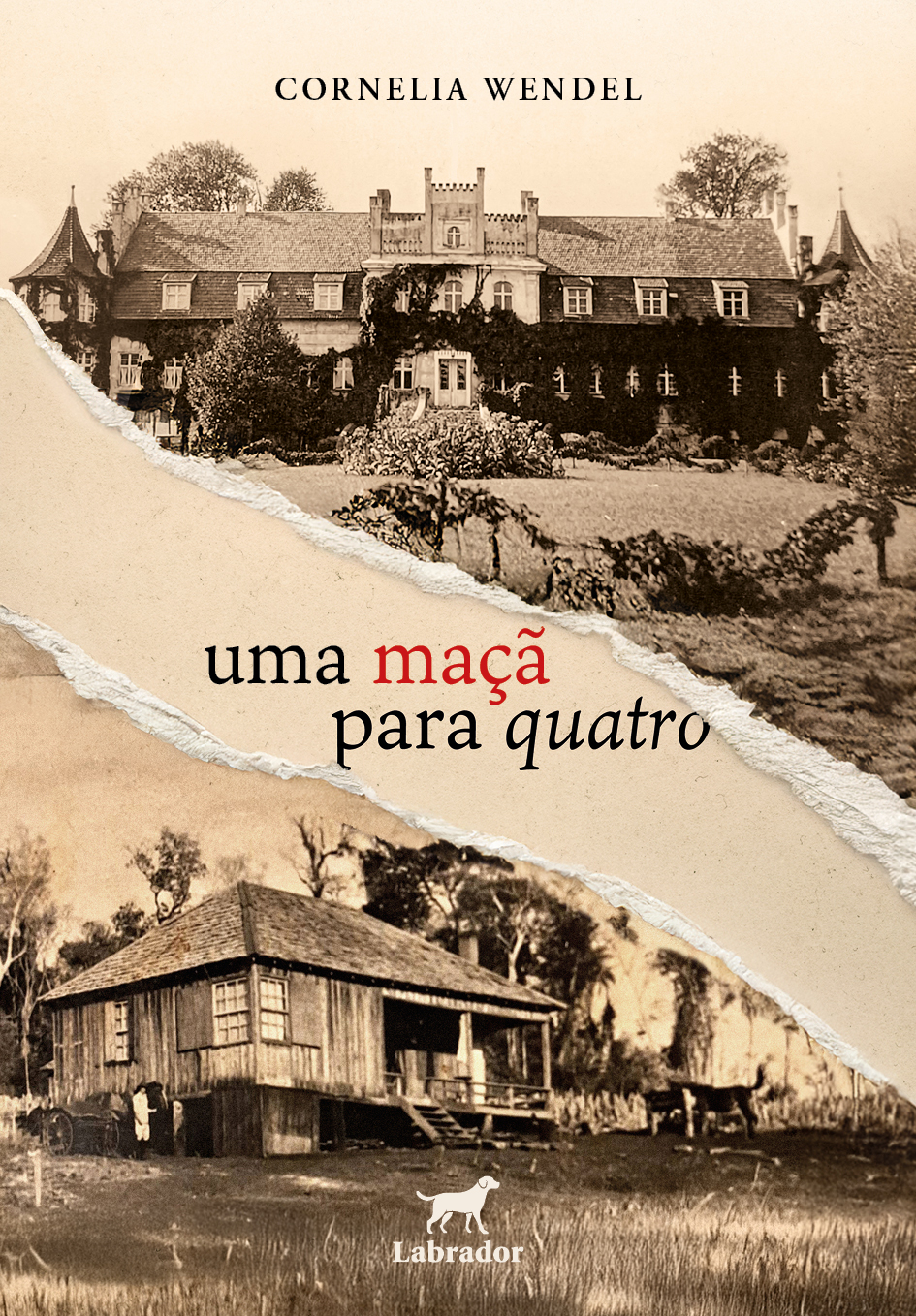 Médica paranaense escreve livro que mescla memória, trauma e herança emocional