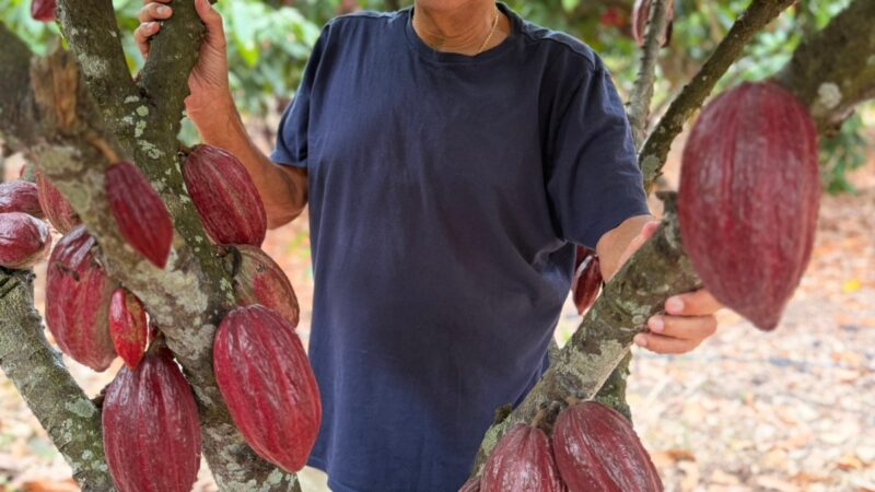 Nova Lei do Chocolate inaugura era para a indústria brasileira