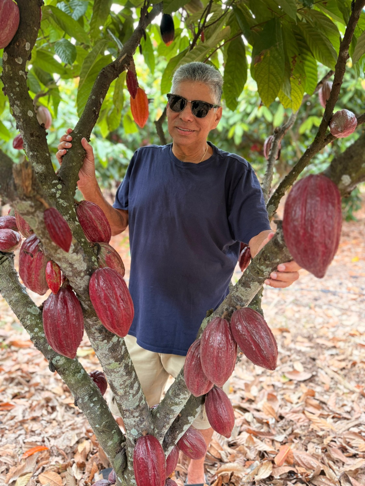 Nova Lei do Chocolate inaugura era para a indústria brasileira