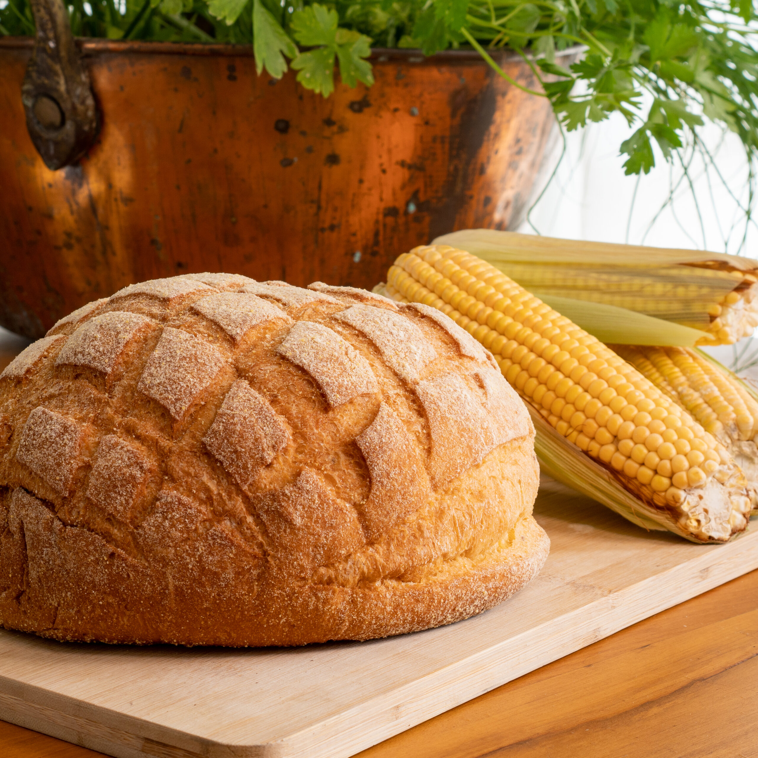 Pão de milho impulsiona as vendas de São João nas padarias