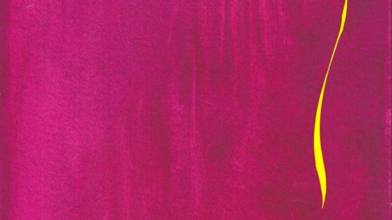 Juliana Araripe estreia na literatura com Entrelaços