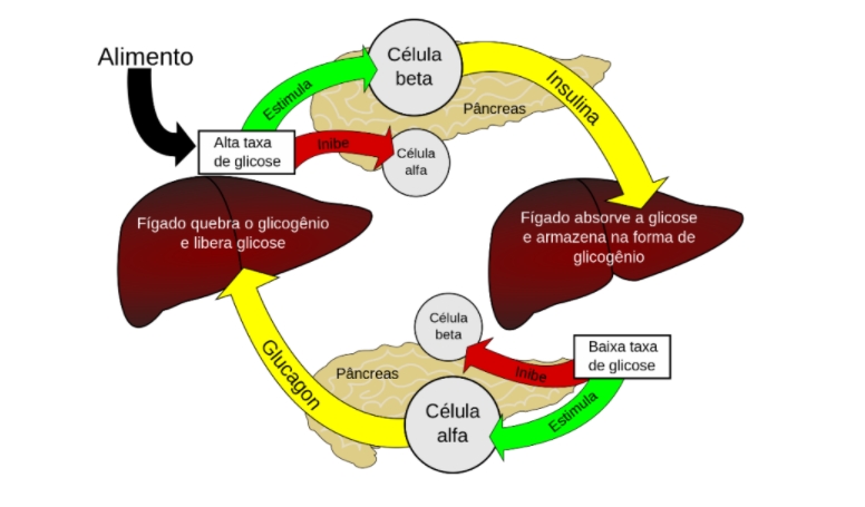 Vontade de comer doces: o que a ciência explica