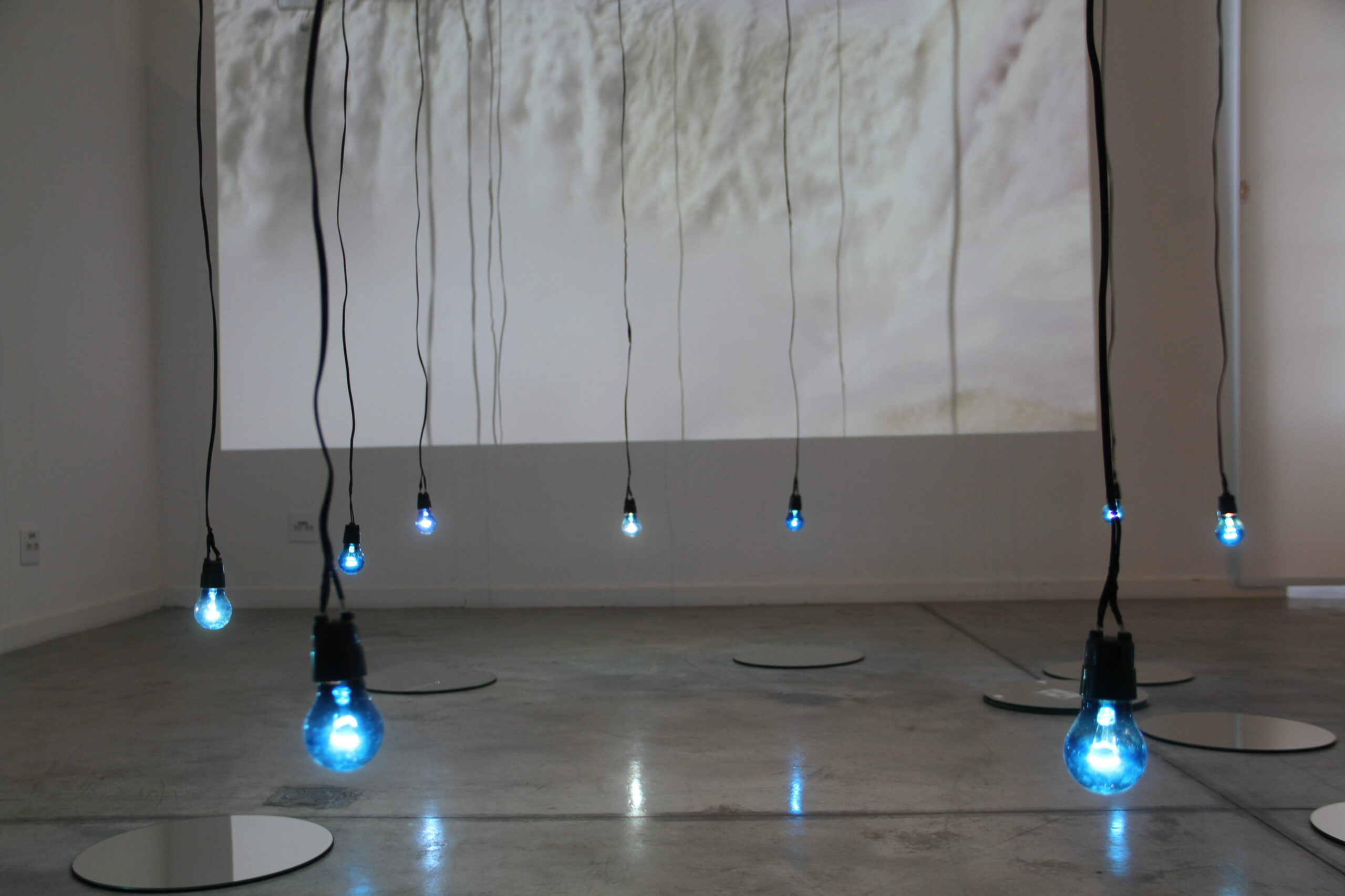 Eneida Sanches participa de colóquio de arte no Maes