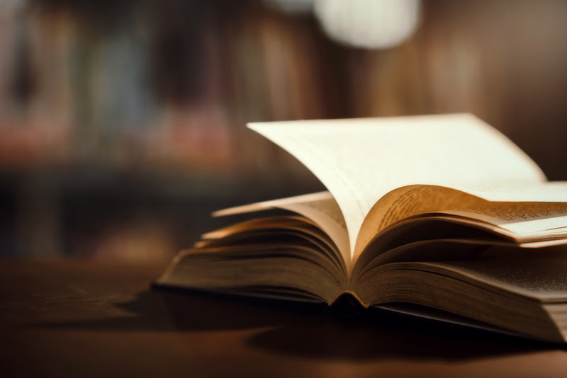 Dia do Escritor destaca 33 filmes baseados em clássicos da literatura