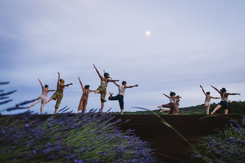 L’Occitane en Provence celebra 50 anos com obra inédita