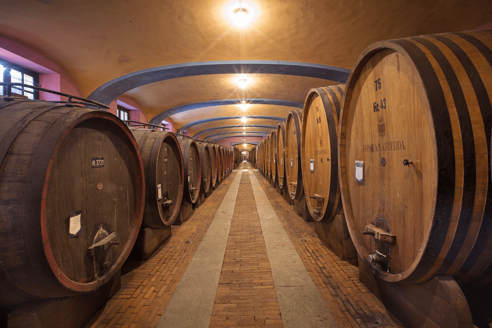 Vinhos de guarda: quando guardar e quando abrir?