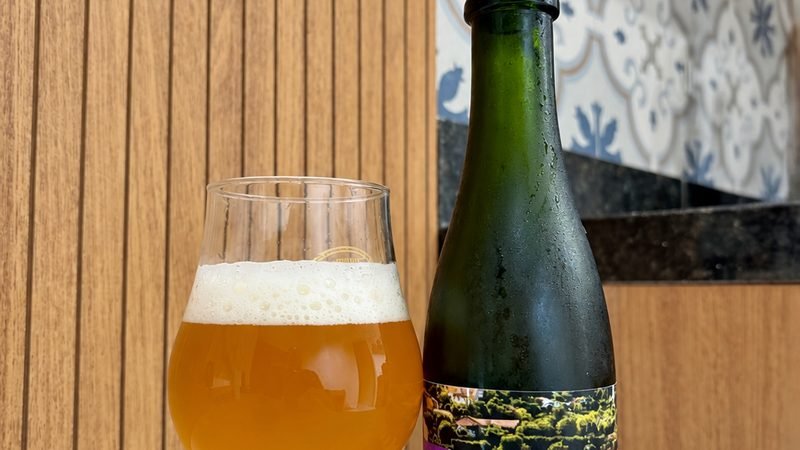 Cerveja de mandioca é eleita a melhor do Sul e Sudeste