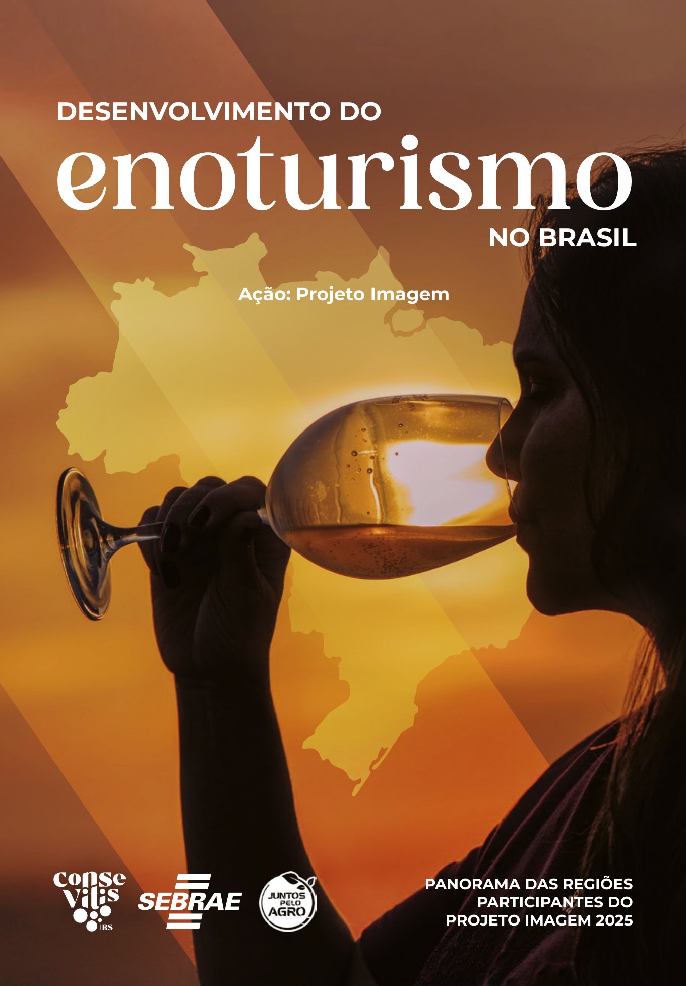 E-book sobre enoturismo brasileiro inclui Campanha Gaúcha