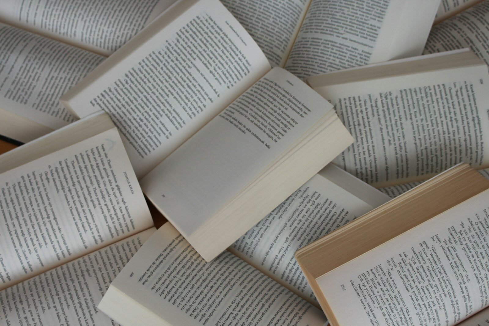 Dia Nacional do Livro: 8 obras brasileiras recomendadas por especialistas